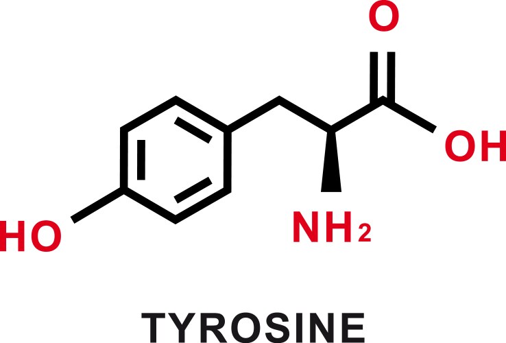 Teacher explaining chemical formula on chalkboard Vector Image