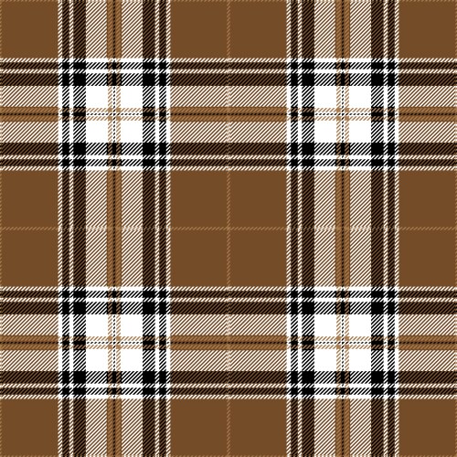 brown tartan plaid scottish pattern vector image