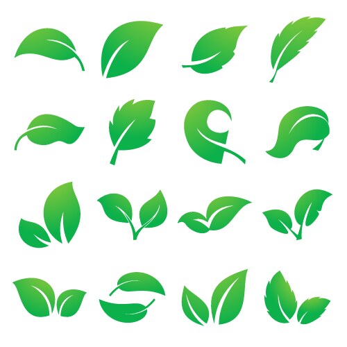 Green leaf icons collection Royalty Free Vector Image