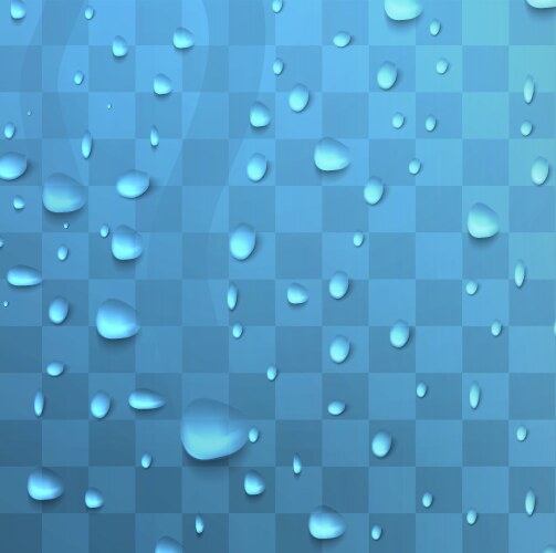 raindrops or showers vector image