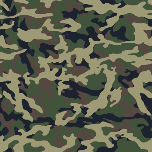 Camouflage Royalty Free Vector Image - VectorStock