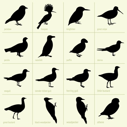 14 birds isolated objects Royalty Free Vector Image