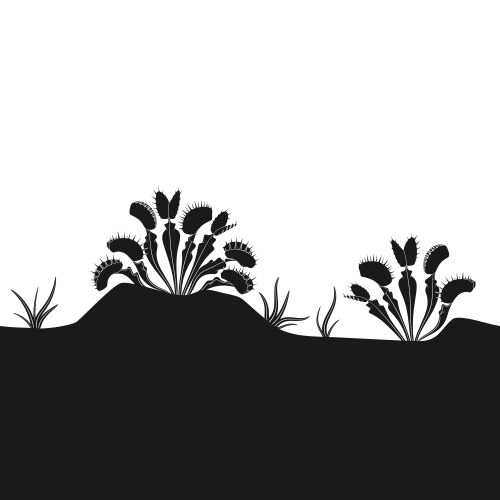 Horizontal seamless pattern with venus flytrap vector image