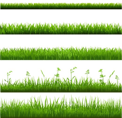 Grass and flowers border set Royalty Free Vector Image