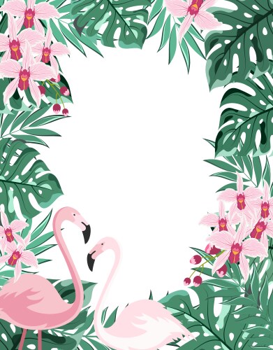 Tropical Flamingo Frame Vector Image