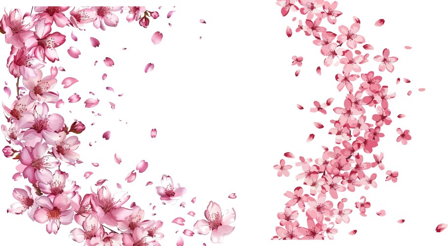Sakura Blossom Floral Border Vector Image
