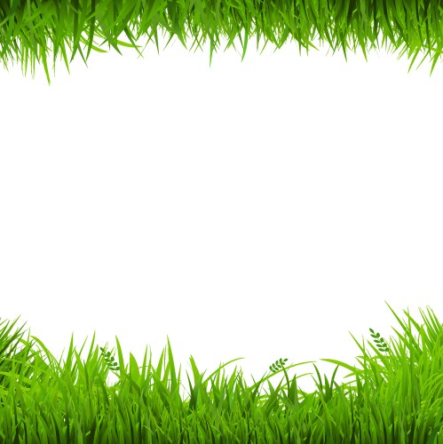 Green grass border Royalty Free Vector Image - VectorStock