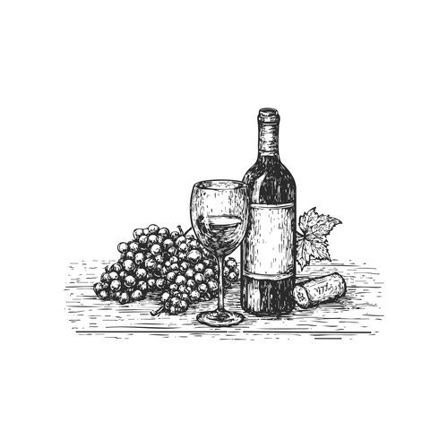 Vintage Wine Still Life Vector Image
