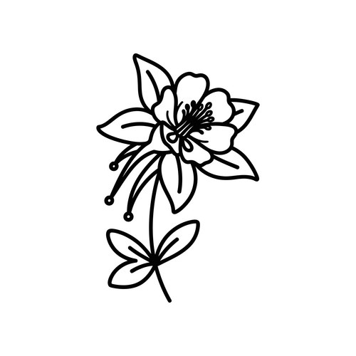 White Cherry Blossom Sketch Vector Image