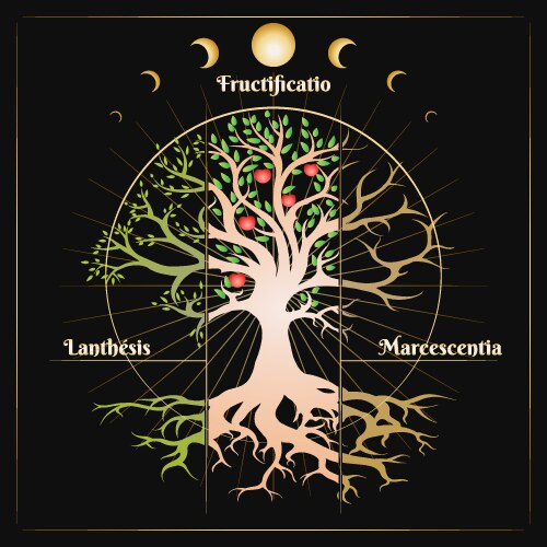 Tree of essence in circle life medieval vector image