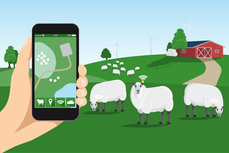 sheep tracking monitoring in smart farm vector image