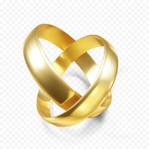 Couple golden wedding rings pair gold 3d ring vector image