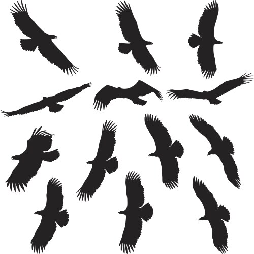 Eagle Silhouette Vector Image