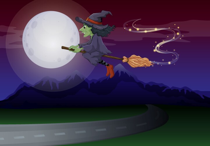 Witch and cat flying on a broom under the moon Vector Image