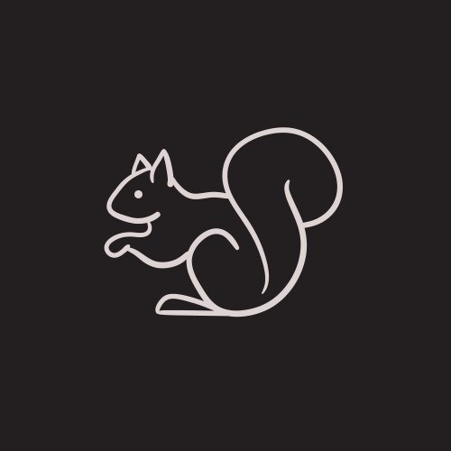 Squirrel sketch icon vector image