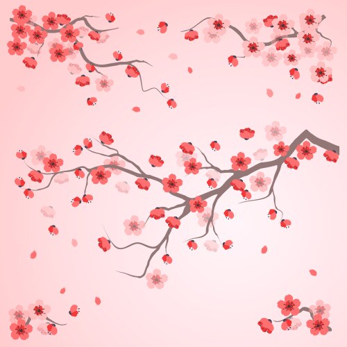 Pink cherry sakura print Royalty Free Vector Image