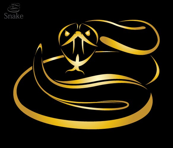 Golden Snake on Black vector image