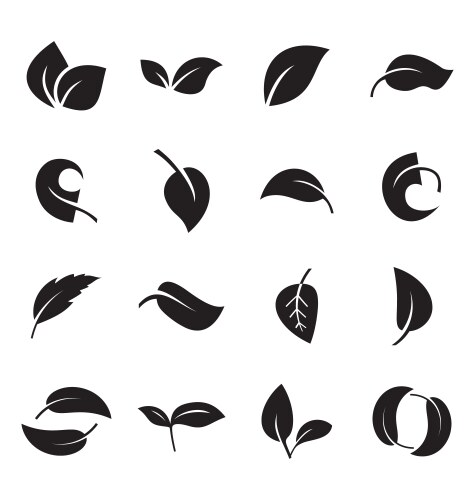Leaf Icon Set Royalty Free Vector Image - VectorStock