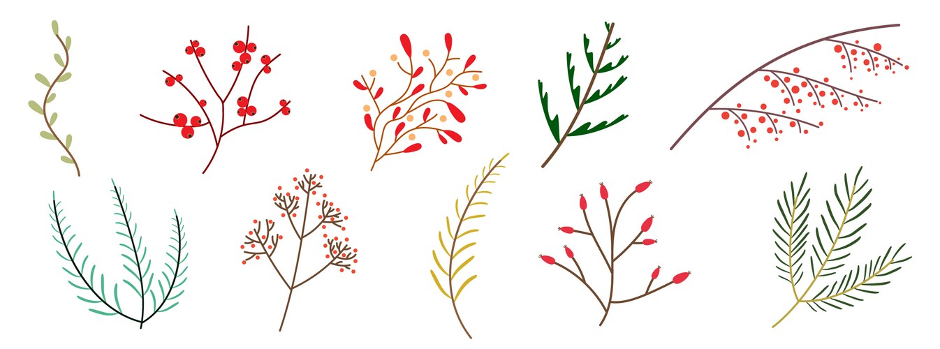 Christmas plant set colored branches with leaves Vector Image
