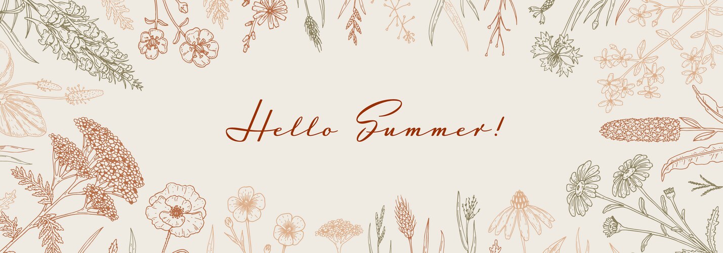 Wildflower Meadow Background Vector Image