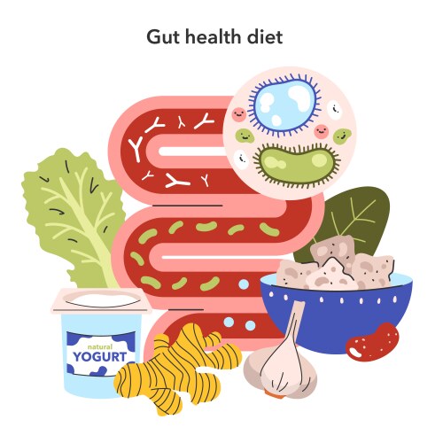 Enzyme Digested Vector Digestive Enzyme Vector Images (over 620)