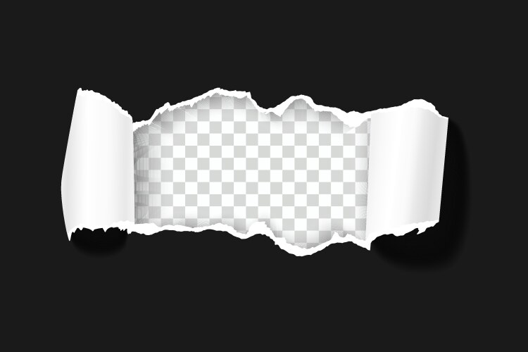 Ripped Paper Texture Royalty Free Vector Image