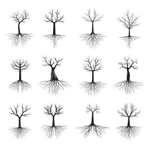 Tree roots set Royalty Free Vector Image - VectorStock