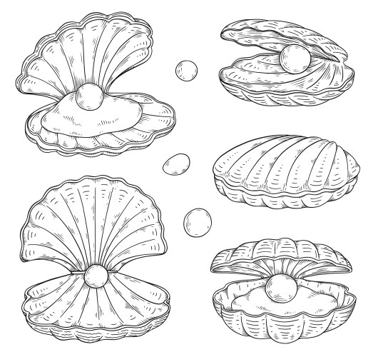 Hand-Drawn Seashell with Pearl Vector Image