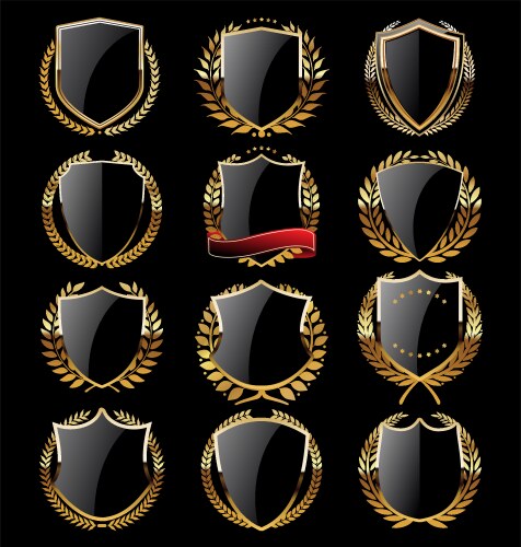 gold and black retro vintage shield collection vector image