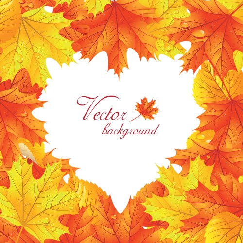 Maple tree leaves Royalty Free Vector Image - VectorStock