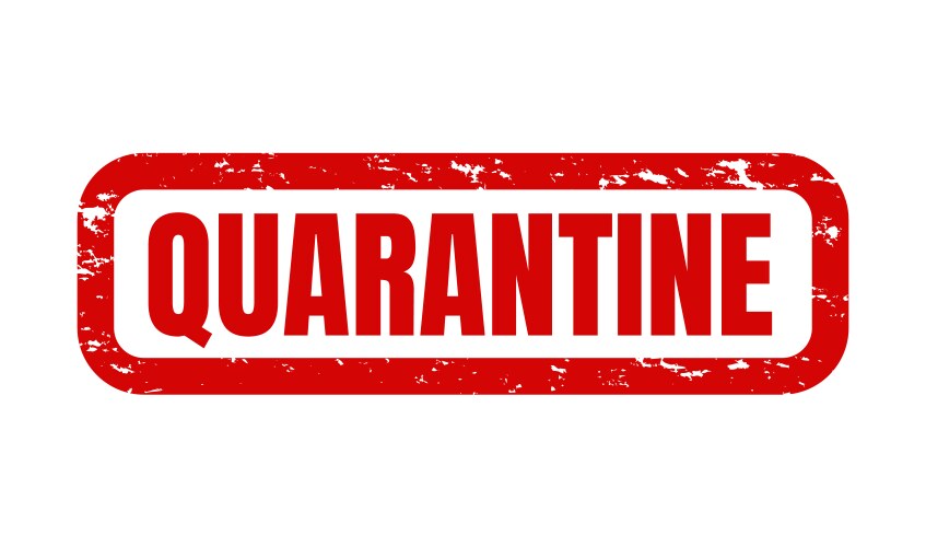 Quarantine text isolated white background vector image