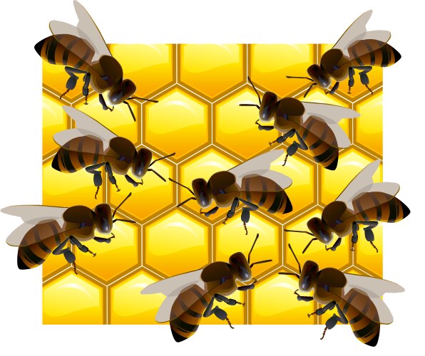 Bees Vector Images (over 93,000)