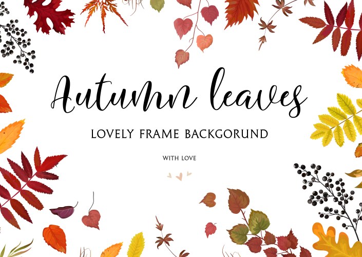 Autumn Leaf Border Vector Image
