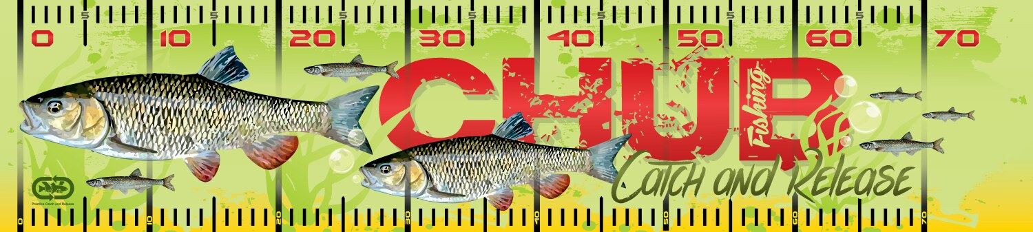 Fishing Ruler Vector Images (over 440)