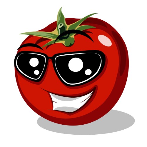 Red tomato Royalty Free Vector Image - VectorStock