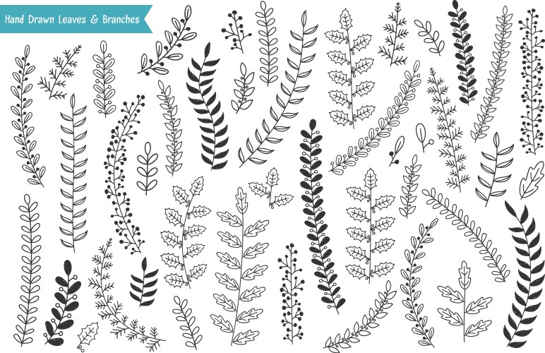Hand drawn leaves and branches Vector Image