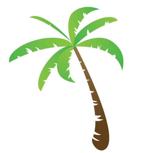 Palm Tree Icon - Flat Style – Royalty-Free Vector | VectorStock