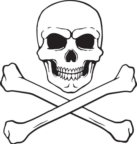 Skull Jolly Roger with Crossbones vector image