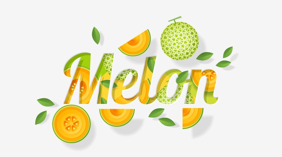 word melon design vector image