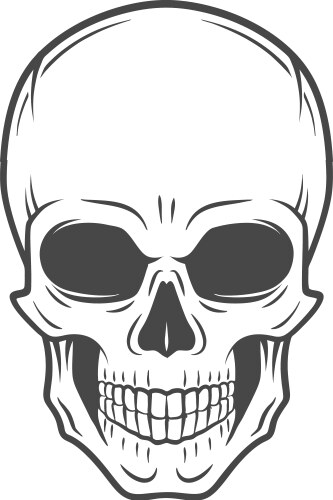 Jolly Roger Skull Vector Image