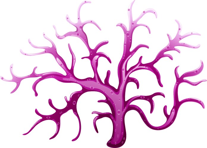 a violet coral reef vector image