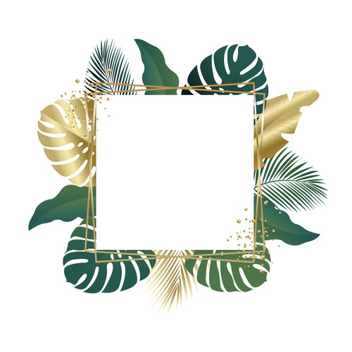 Frame banana Vector Images & Graphics for Commercial Use | VectorStock