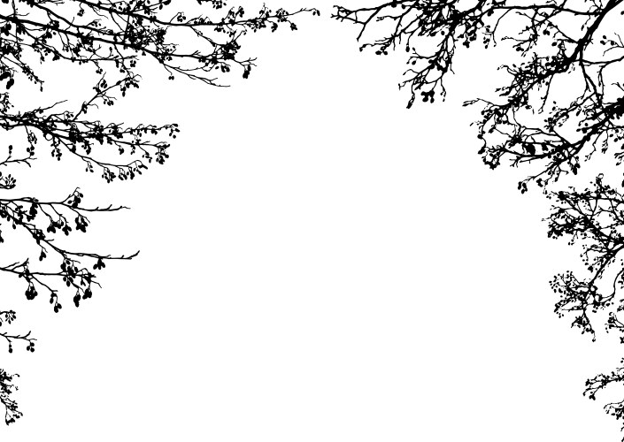 Tree branches Vector Images & Graphics for Commercial Use | VectorStock