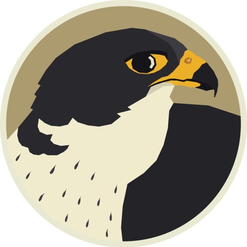 a peregrine falcon in round frame vector image