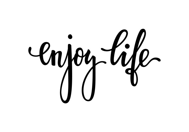 enjoy life inspirational and motivational quotes vector image