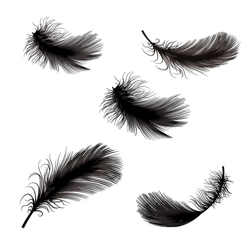 Pen Vector Images (over 370,000)