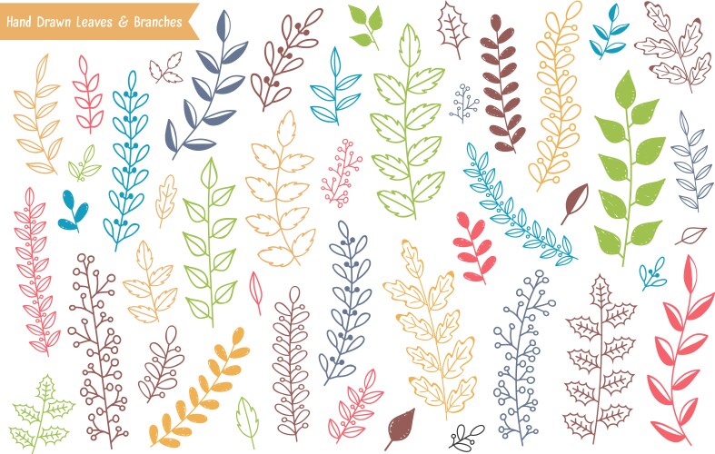 Hand drawn leaves and branches Vector Image