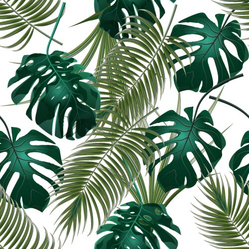 Tropical Palm Leaves & Monstera Vector Image