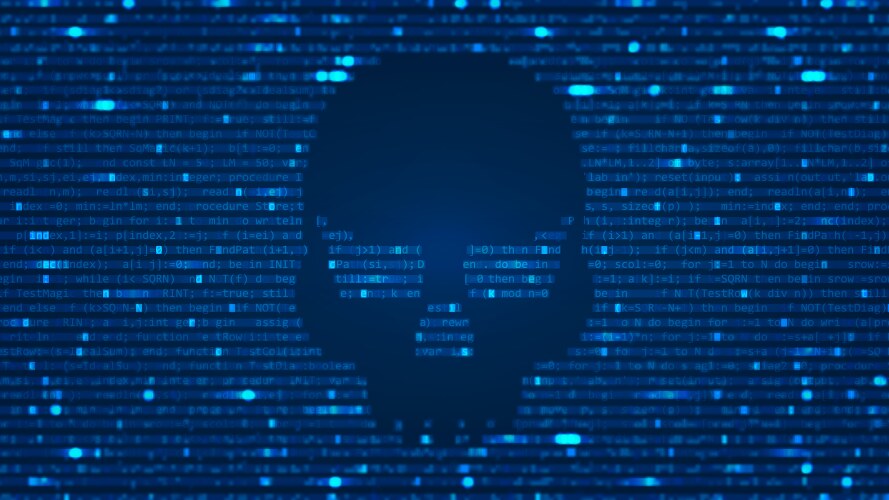 Hacker Skull ASCII Code Background vector image
