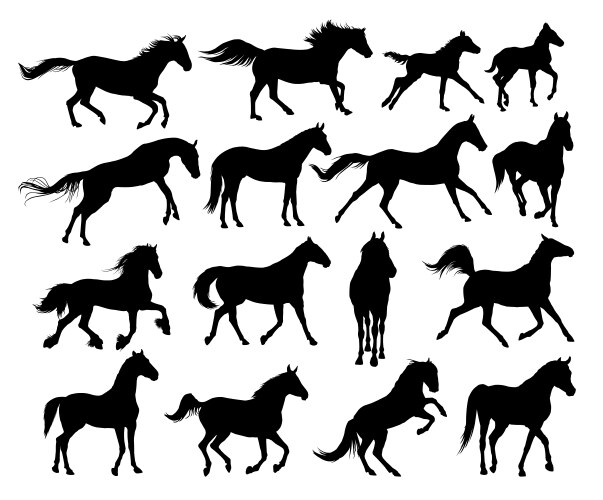 Set of horses silhouettes Vector Image